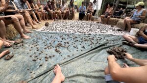 Studienaufenthalt in Italien