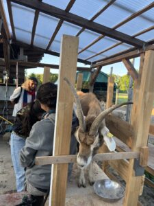 Studienaufenthalt in Brandenburg